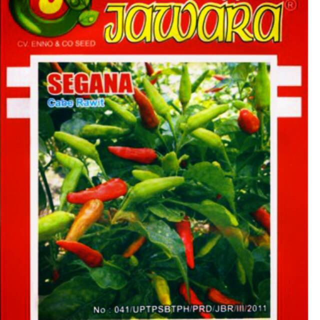Benih Cabe Rawit Hijau SEGANA