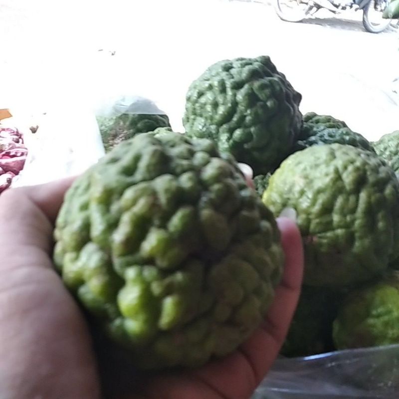 

jeruk purut jumbo 1 kg