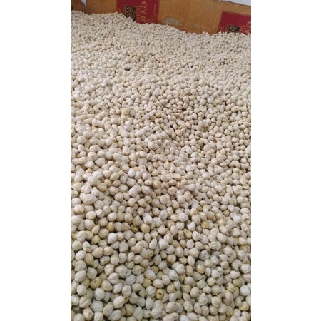 

Kemiri Medan Original