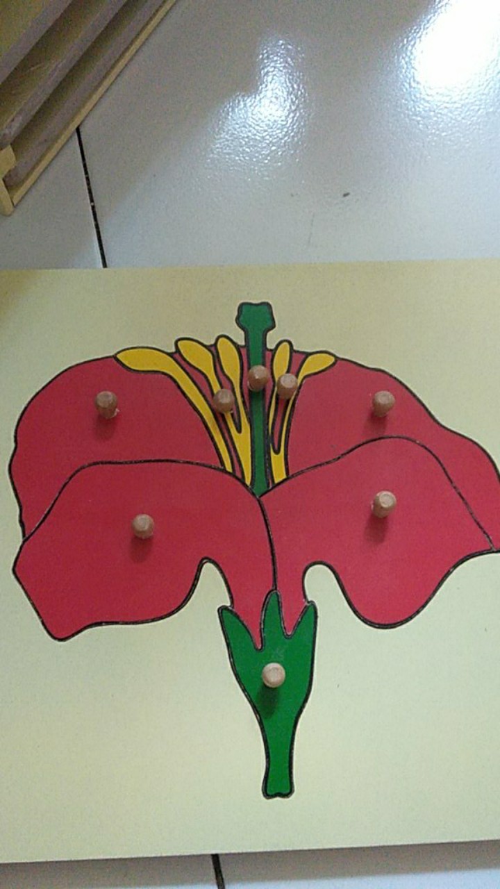 Zoology Set  Puzzle (5pc+cabinet+printable)  / Puzzle Botany Full Set (5pc+cabinet)