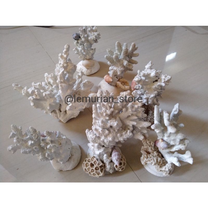 BATU KARANG LAUT ASLI// aquarium/ aquascape/ corallaut/batu/laut/terumbu karang/deadrock/premium