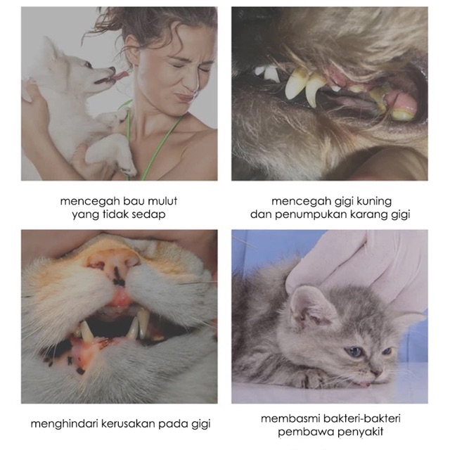 SIKAT GIGI + PASTA / ODOL GIGI KUCING ANJING - Cat Dog Toothbrush Nano