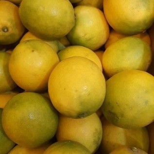 Lemon Lokal Buah Segar Bandung