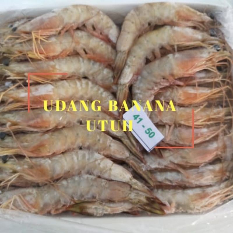 

Udang Banana / Jerbung Utuh 1kg