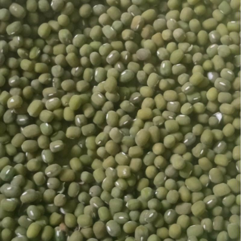 

Kacang Ijo 500 Gram