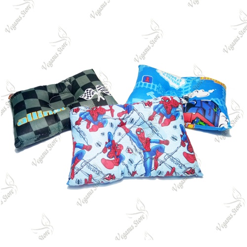 Bantal Bayi Anti Peyang - Bantal Bayi karakter Lucu-Vegasus Store (COD)