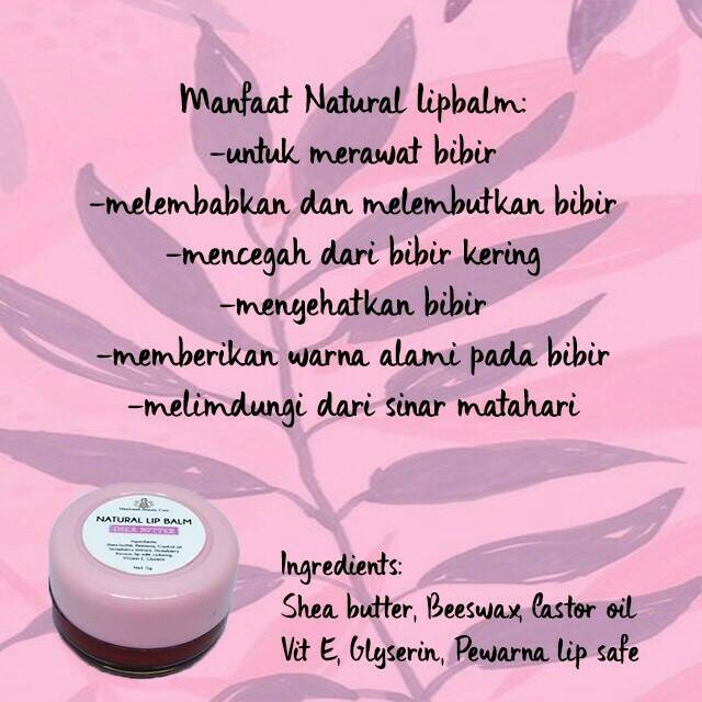 Lip Balm Shea Butter