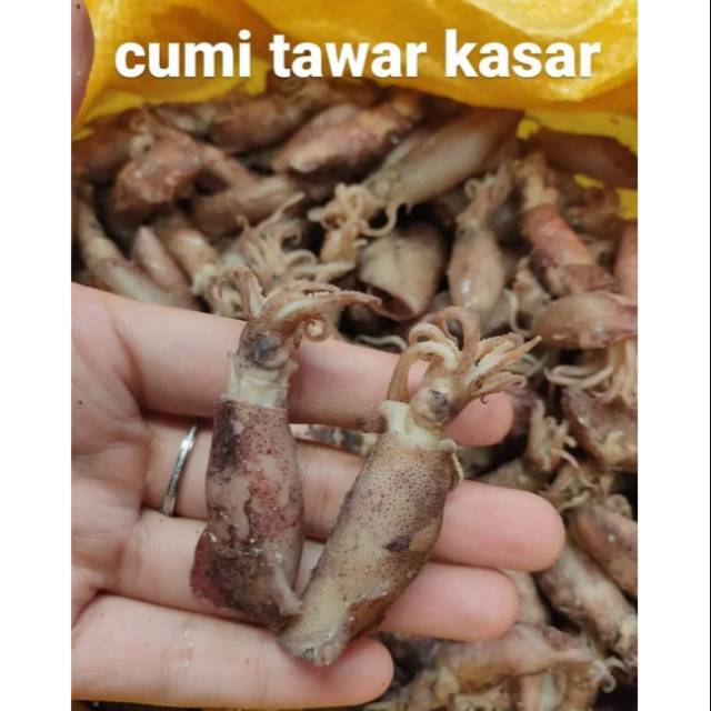 

Cumi tawar kasar 500gr