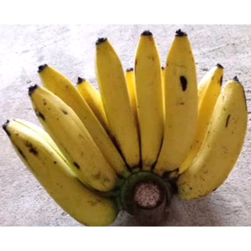 

PISANG AMBON/sisir