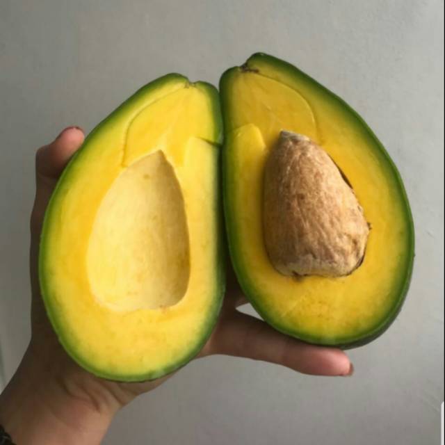 

ALPUKAT MENTEGA LAMPUNG 1 KG. FRESH.