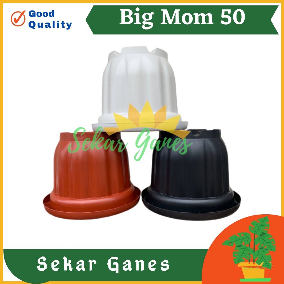 ONLY SAMEDAY AND INSTAN Pot BIGMOM 50 Putih Hitam Merah Bata Merah Coklat Terracota Terracotta  - Pot Besar Jumbo 50cm Pot Besar Plastik Bahan Tebal - Pot Besar Jumbo 100cm 50cm 40cm Putih Tinggi Hitam