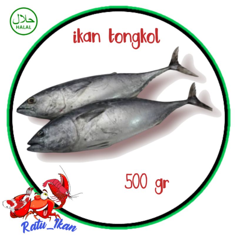 

ikan tongkol segar[ 500gram] ratu_ikan