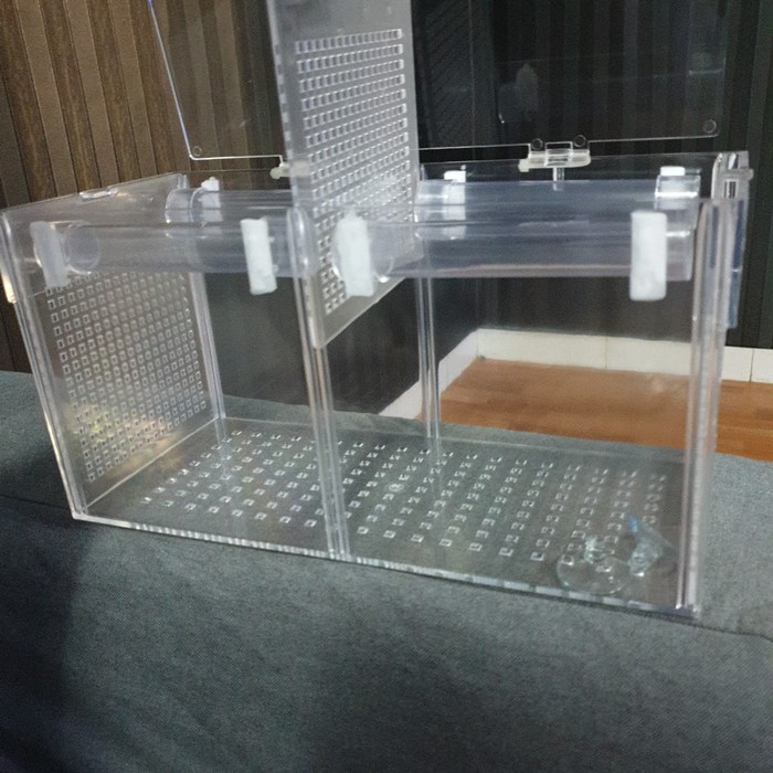 box kotak akrilik acrylic karantina / aklimasi ikan uk. p 30 l 13 t 15