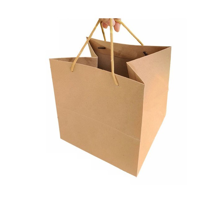 

(TERLARIS) Pb202023 - Paper Bag Kantong Tas Paperbag Belanja Goodie Karton 20Cm