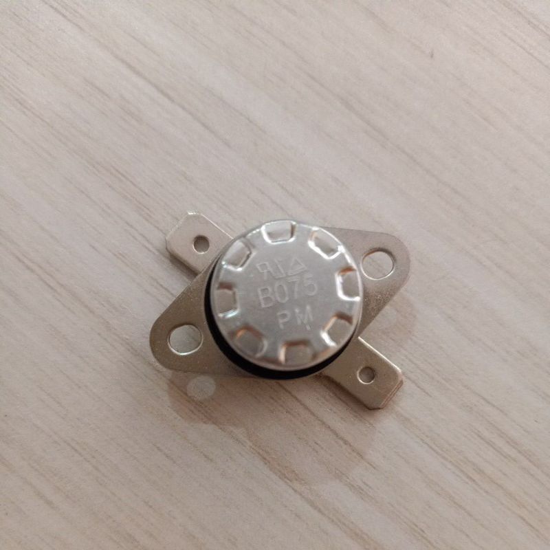 Termostat Magicom 75 Derajat