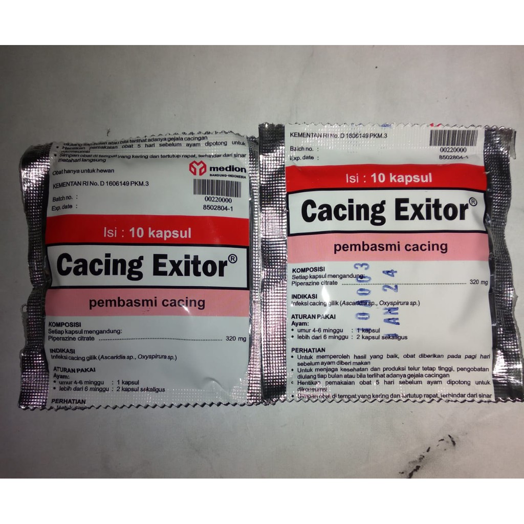 CACING EXITOR OBAT CACING MERPATI DAN AYAM ISI 10 KAPSUL