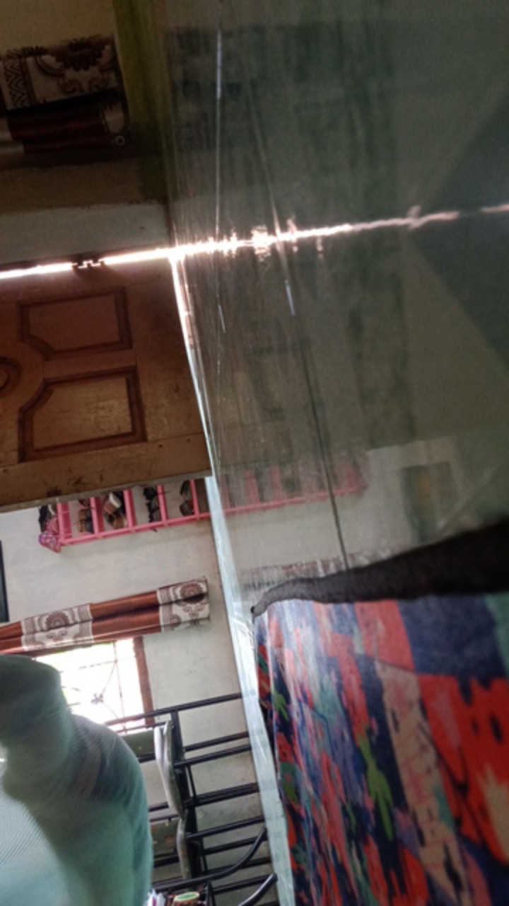 Botol Minum Bayi/ Baby Mug Lion Star 220 Ml