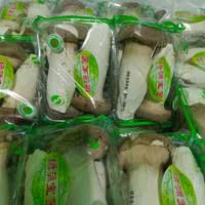 

Jamur King Oyster 200gr
