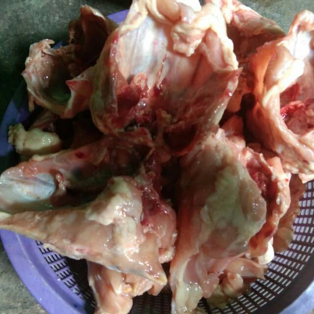 

Kerongkongan ayam