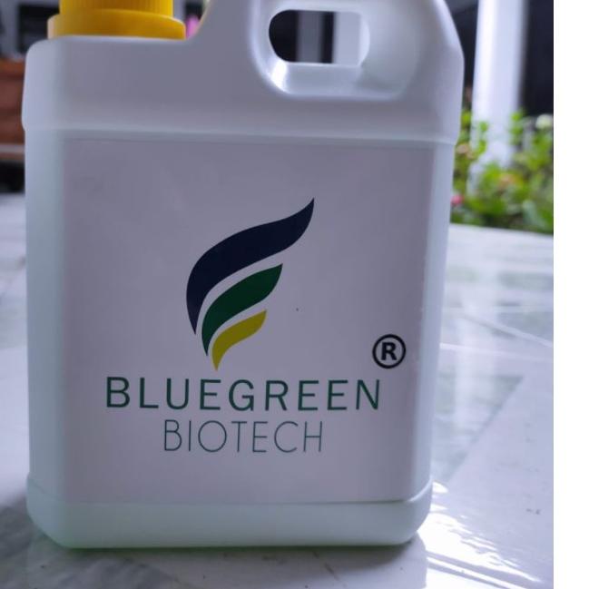Sudah READY.. PROMO Bluegreen Biotech (Probiotik Terbaik)