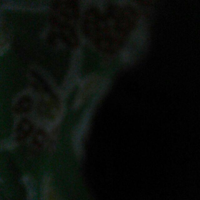 Bswart Batik Hrb026 Kenongo Hem Pendek Padi Pekalongan M L Xl Batik Pria Murah Modern Grosir