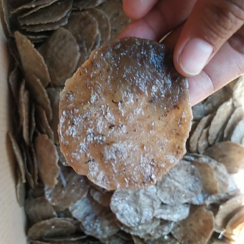 

kemplang matahOi