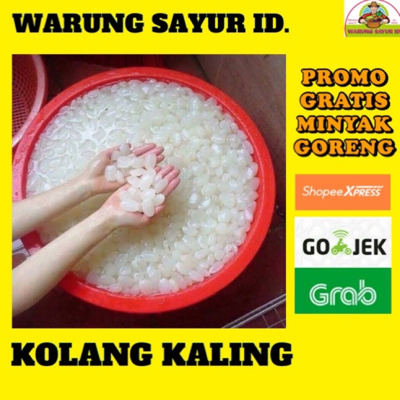 

KOLANG KALING 500 GRAM