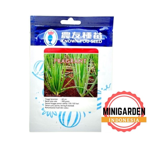 DAUN BAWANG FRAGRANT 250 GRAM PACK BESAR benih biji bibit kucai lokio leek lyon f1 hibrida known you seed