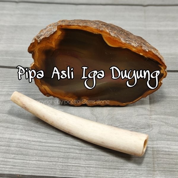 Pipa Cangklong Once Tulang Iga-Duyung Original Rasa Gurih dan Nikmat