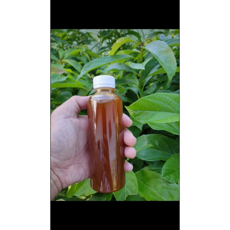 

MADU ASLI SUMBAWA