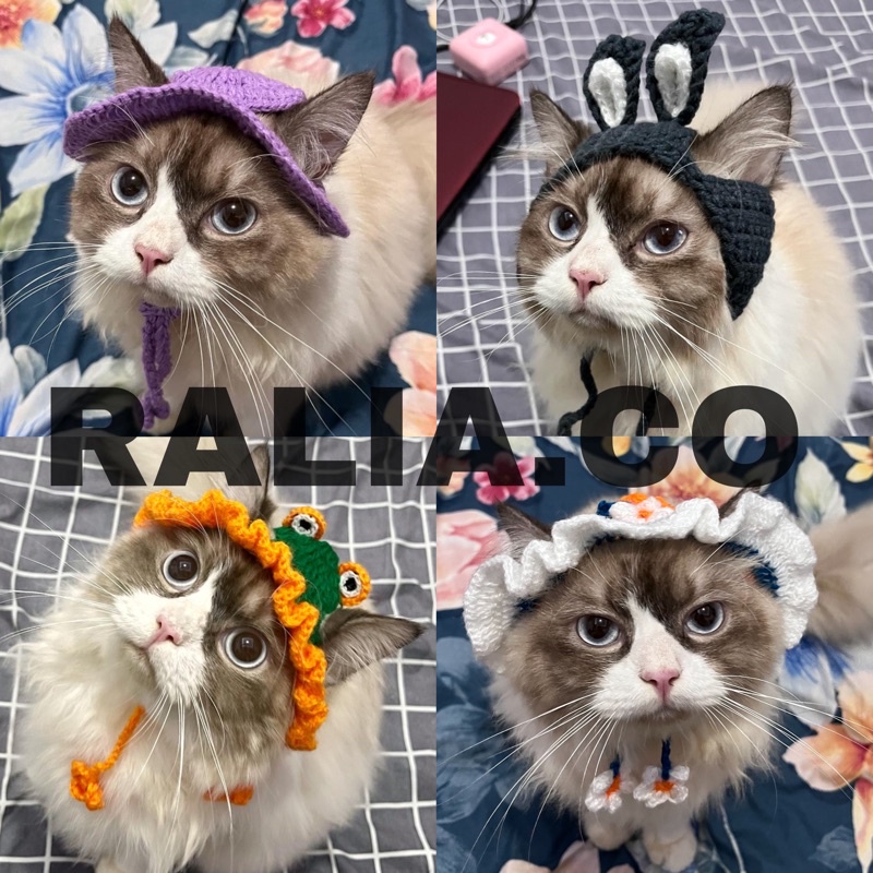 PART 1 TOPI RAJUT KUCING kalung kucing rajut topi hewan kucing anjing topi pororo Hat Crochet