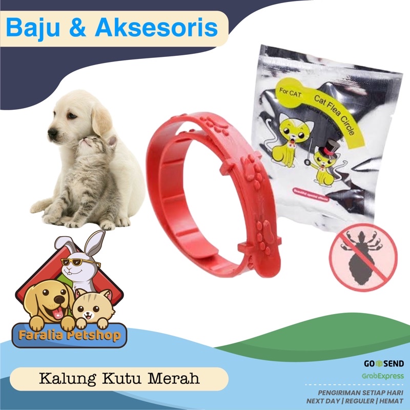 Kalung Anti Kutu Kucing Anjing Cat Collar Flea Tick Repellent Merah