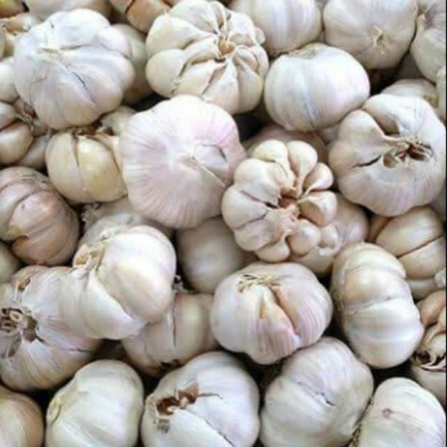 

Bawang putih 250 gr