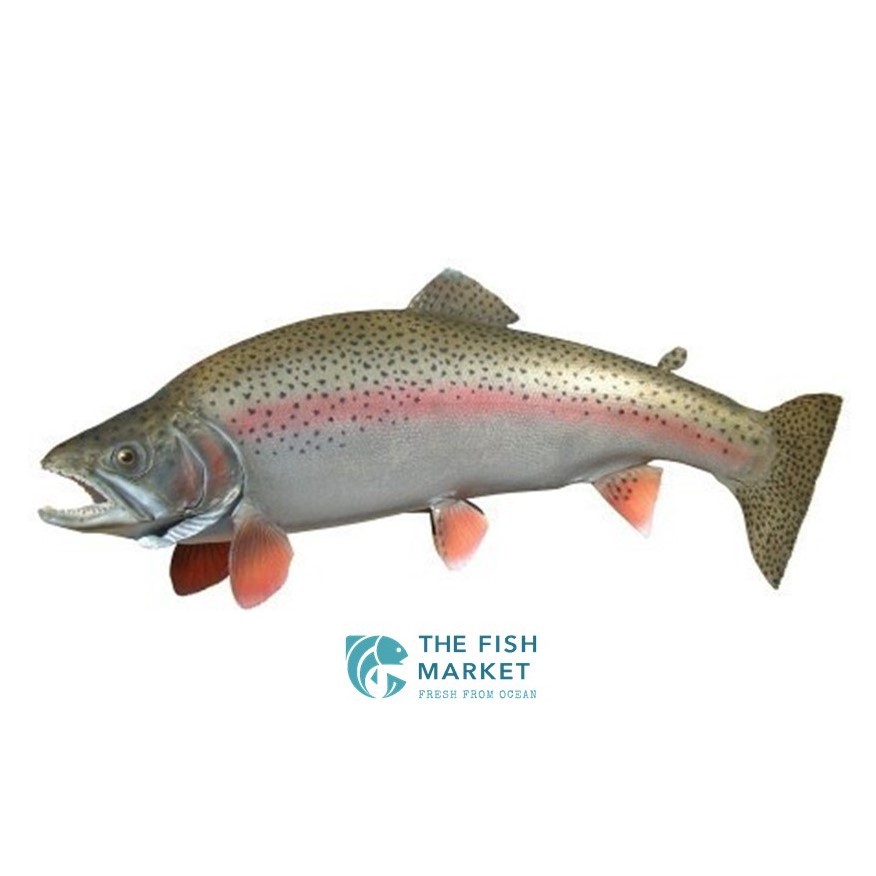 

Ikan Salmon Trout Norwegia Fresh Fillet 1 Ekor