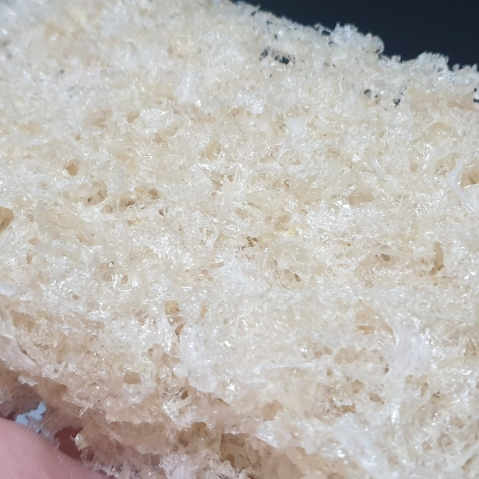 sarang walet hancuran bersih