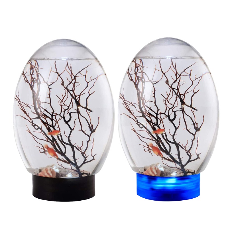 Mary 19x8.2cm/7.48x3.23in Tutup Ekosistem Air Desain Transparan Sederhana Ikan Mini Ringan Untuk Tank Untuk Rumah/Off