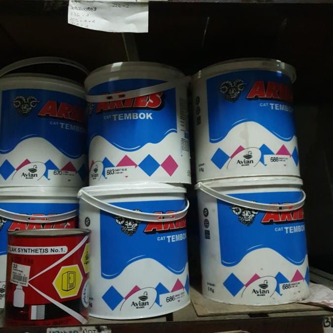 cat tembok aries 5kg