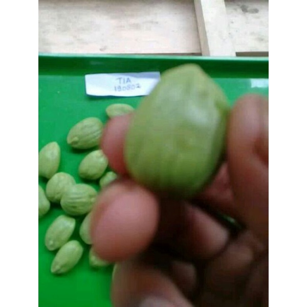 

Pete/Petai Kupas Super Murah 100gram