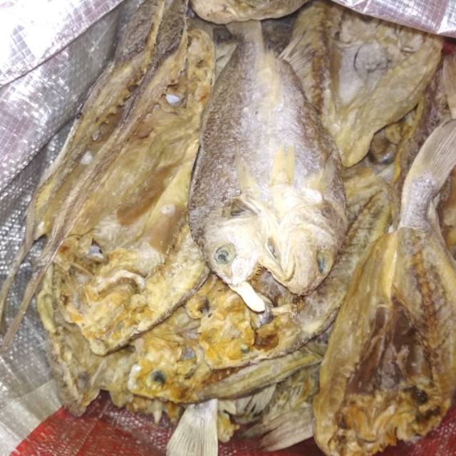 

Ikan asin gulama/kepala batu khas tarakan BELAH 500g