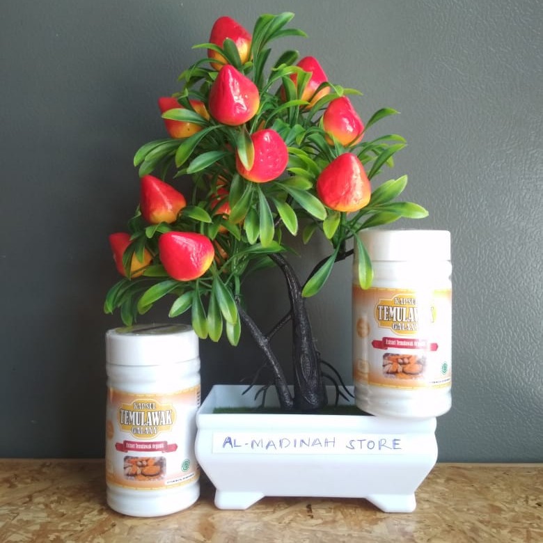Kapsul CURCUMIN Temulawak Kapsul Temulawak Kapsul Ekstrak Temulawak ORIGINAL 100% Kapsul CURCUMA
