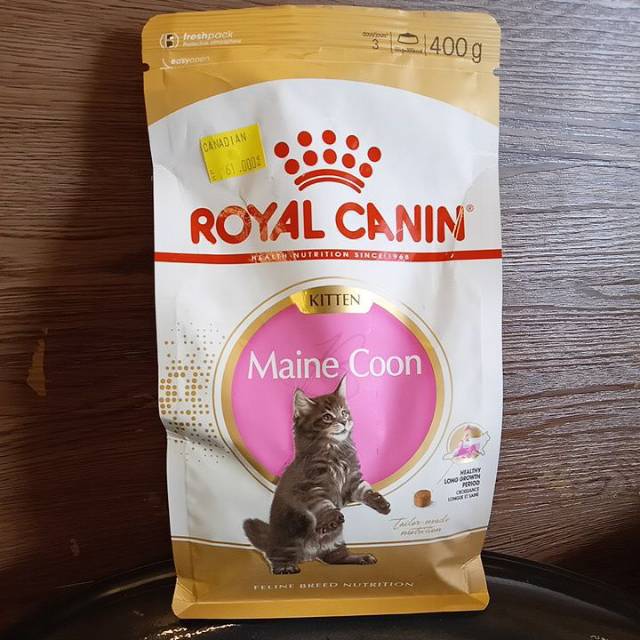 Makanan Kucing Terbaik Royal Canin Kitten Maine Coon 400g Shopee