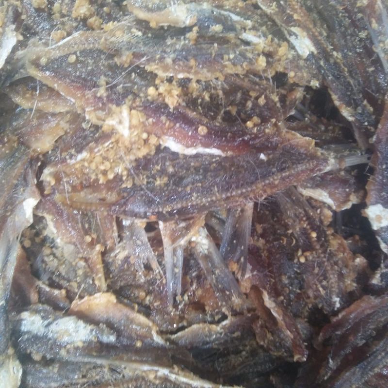 

IKAN DENDENG JAPUH BERAT 100GR