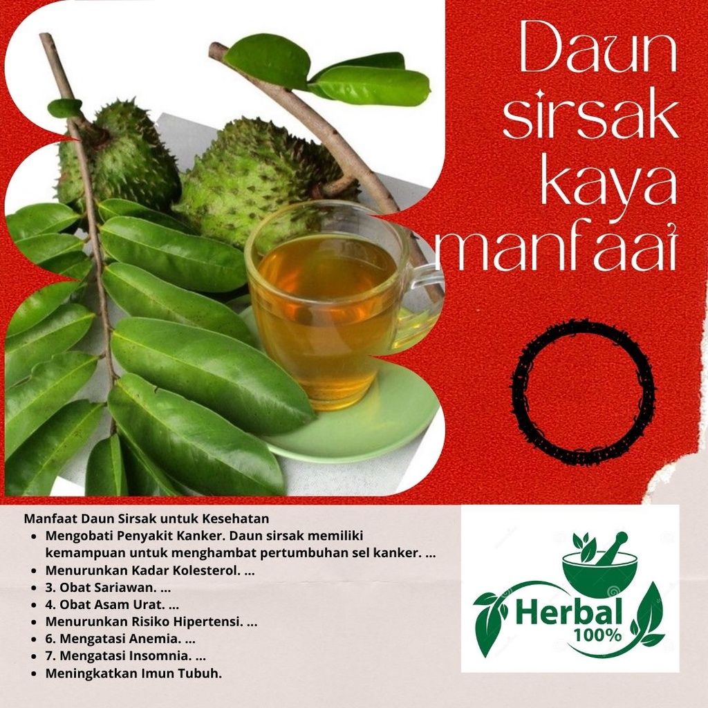 

Daun sirsak segar 1 ikat isi 25 lembar untuk obat herbal