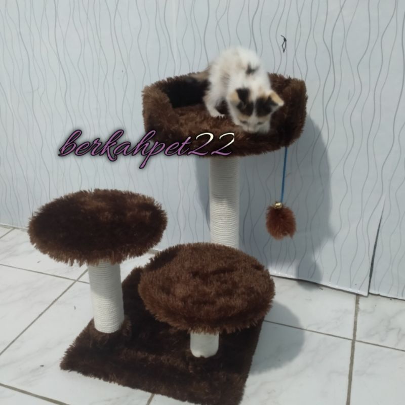 panjatan kucing kitten sofa bed garukan kucing bermain