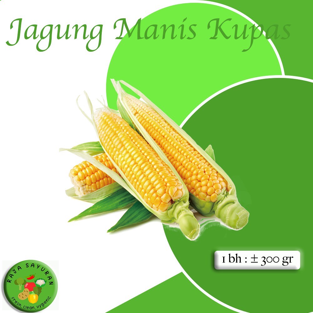

SAYURAN SEGAR SWEET CORN FRESH /JAGUNG MANIS MURAH - RAJA SAYURAN
