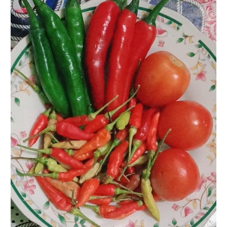 

PAKET CABE LENGKAP per pcs (cabe merah, hijau, rawit,tomat)