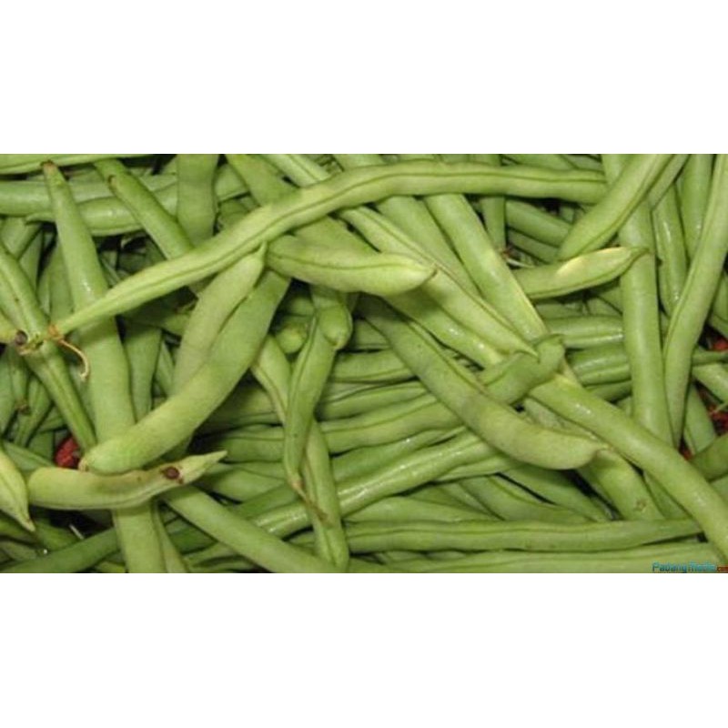 

buncis 250gr
