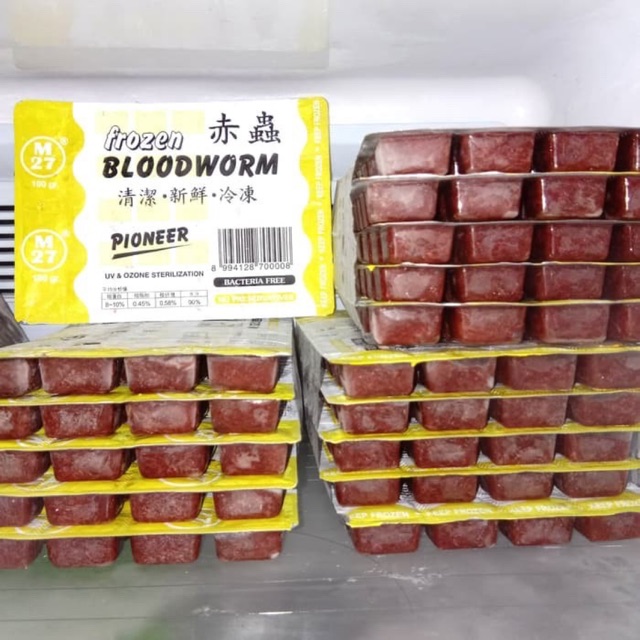 cacing darah beku frozen bloodworm pakan ikan kapsul PIONEER