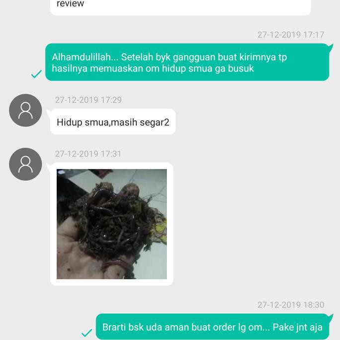 Ready Stok Pakan Umpan Ternak Unggas Ikan Belut Budidaya Cacing Tanah Segar 1 Kg