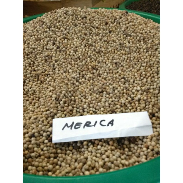 

MERICA BUTIR 5 KG HARGA GROSIR